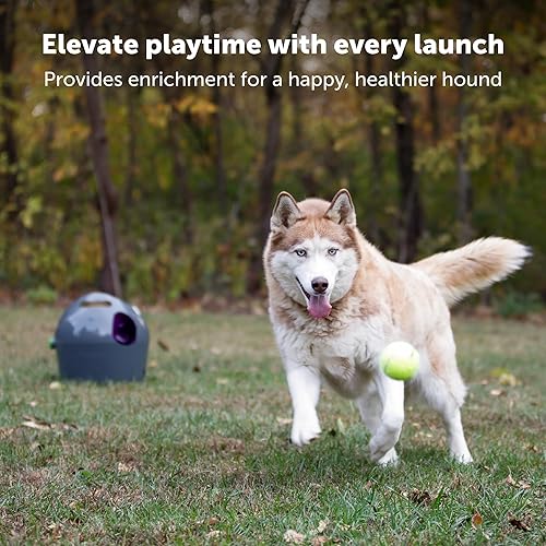 Miniatura 2 de PetSafe Automatic Ball Launcher, lanzador de pelota de tenis para perros