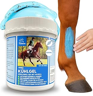 Baume de Cheval rafraîchissant 1000ml Gel à l'arnica Gel Extra Fort I Horse Balm Tendons, ligaments & Muscles I Pommade pour Chevaux à l'arnica Crème Gel de Massage pour Les Muscles pour Cheval Chien