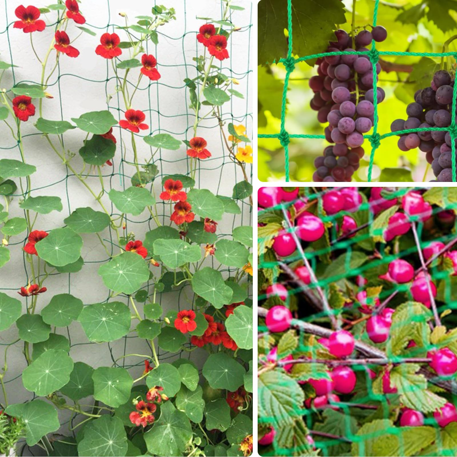 Red Cuerda Red De Enrejado, Red De Jardín Para Plantas, Red De Enrejado De  Jardín De 5.9 X 5.9 Pies Para Red Blanca, image size:1600x1600