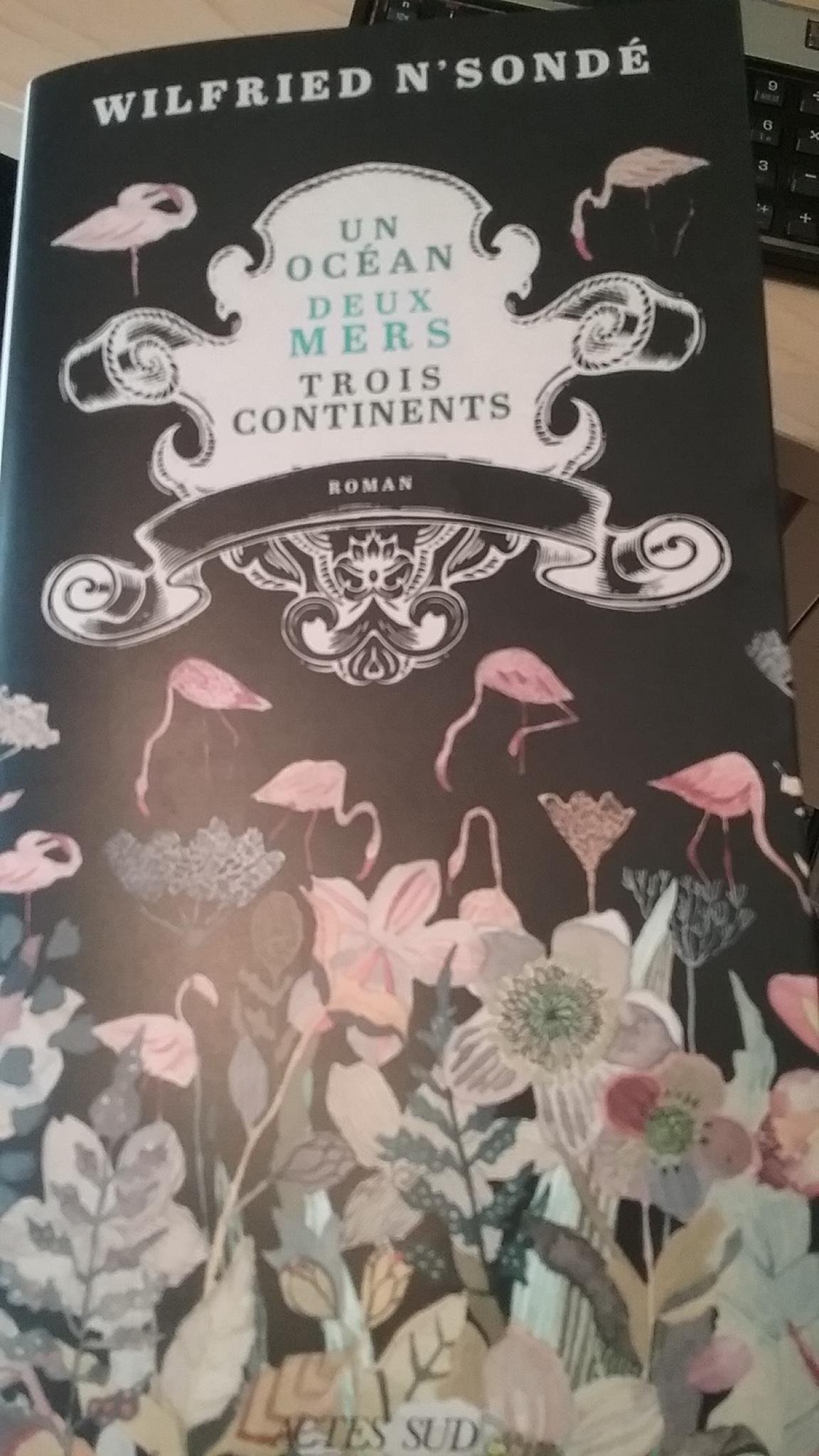 Un ocean, deux mers, trois continents: roman (Domaine français)