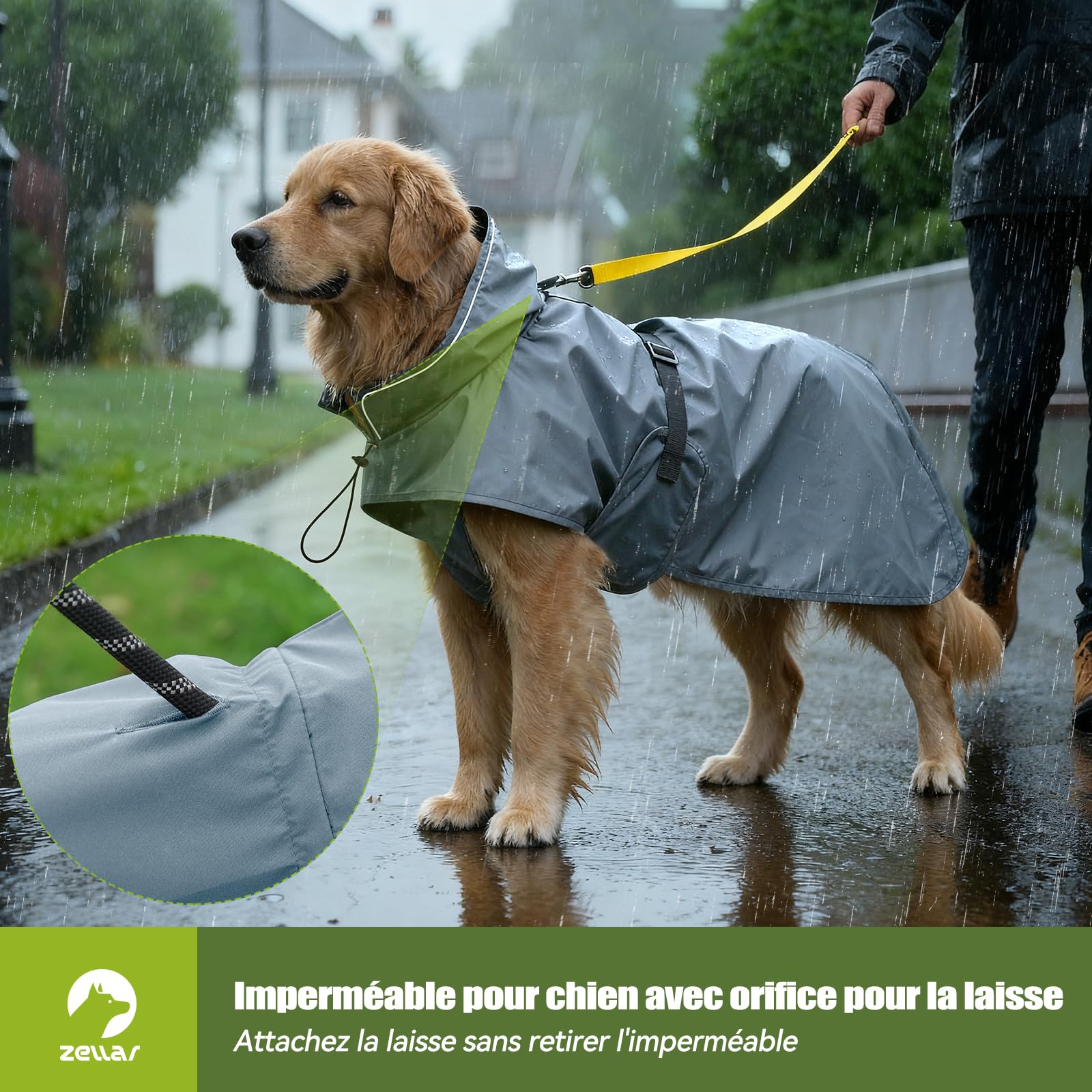 Manteau de Pluie Imperméable pour Chien Zellar, Adjustable et Léger avec Bande Réfléchissante & Passage pour la Laisse, Enfilage Facile, Manteau Chien Imperméable pour Chiens Moyens et Grands, M Gris