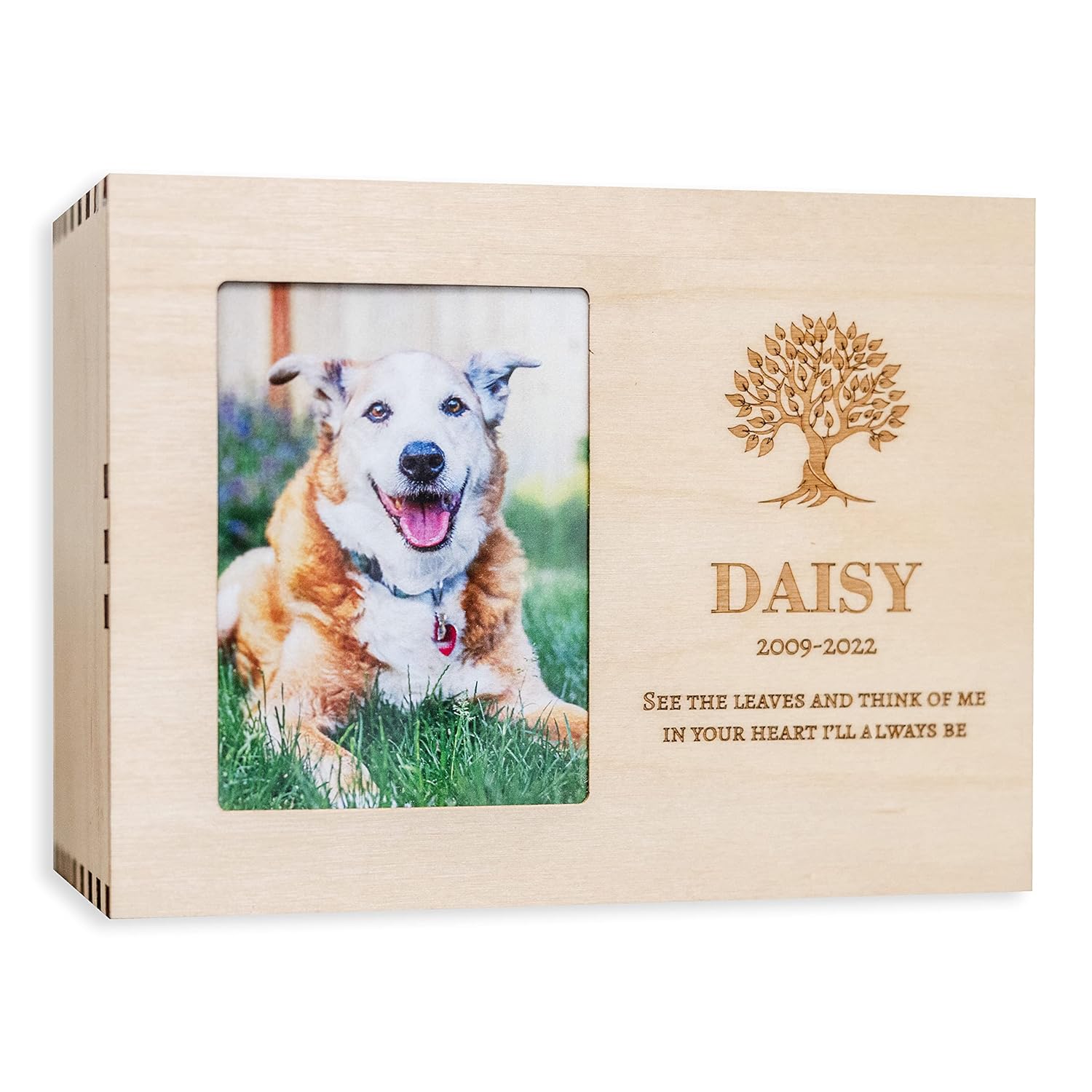 Pet Urn Photo Box for Keepsakes Dog Urn Cat Urn for Ashes