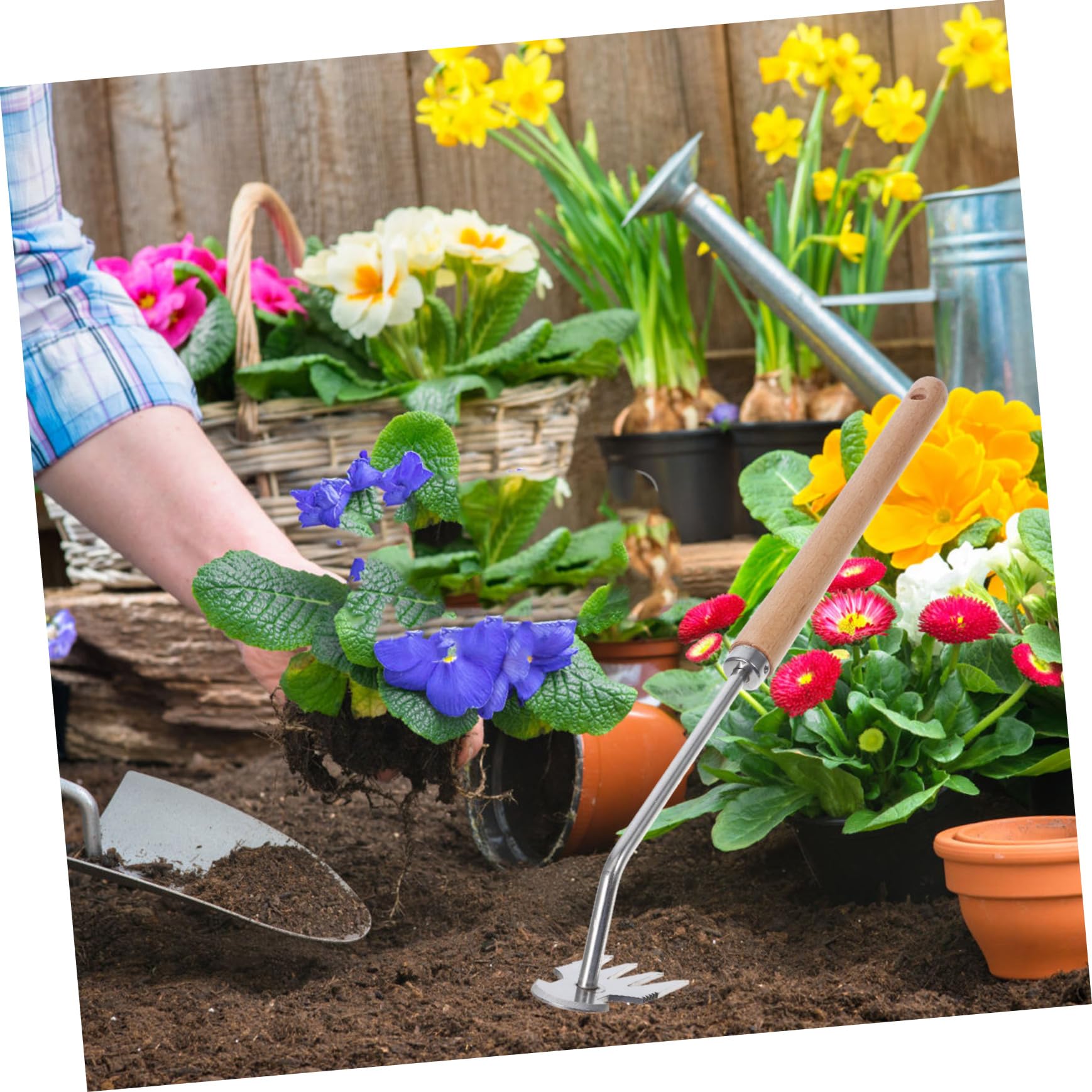 Supvox 5stücke Gartenwerkzeug Unkrautstecher Mit Langem Holzgriff Effektives Jäten Für Garten Und Parks Ergonomisches Design Für Müheloses Arbeiten