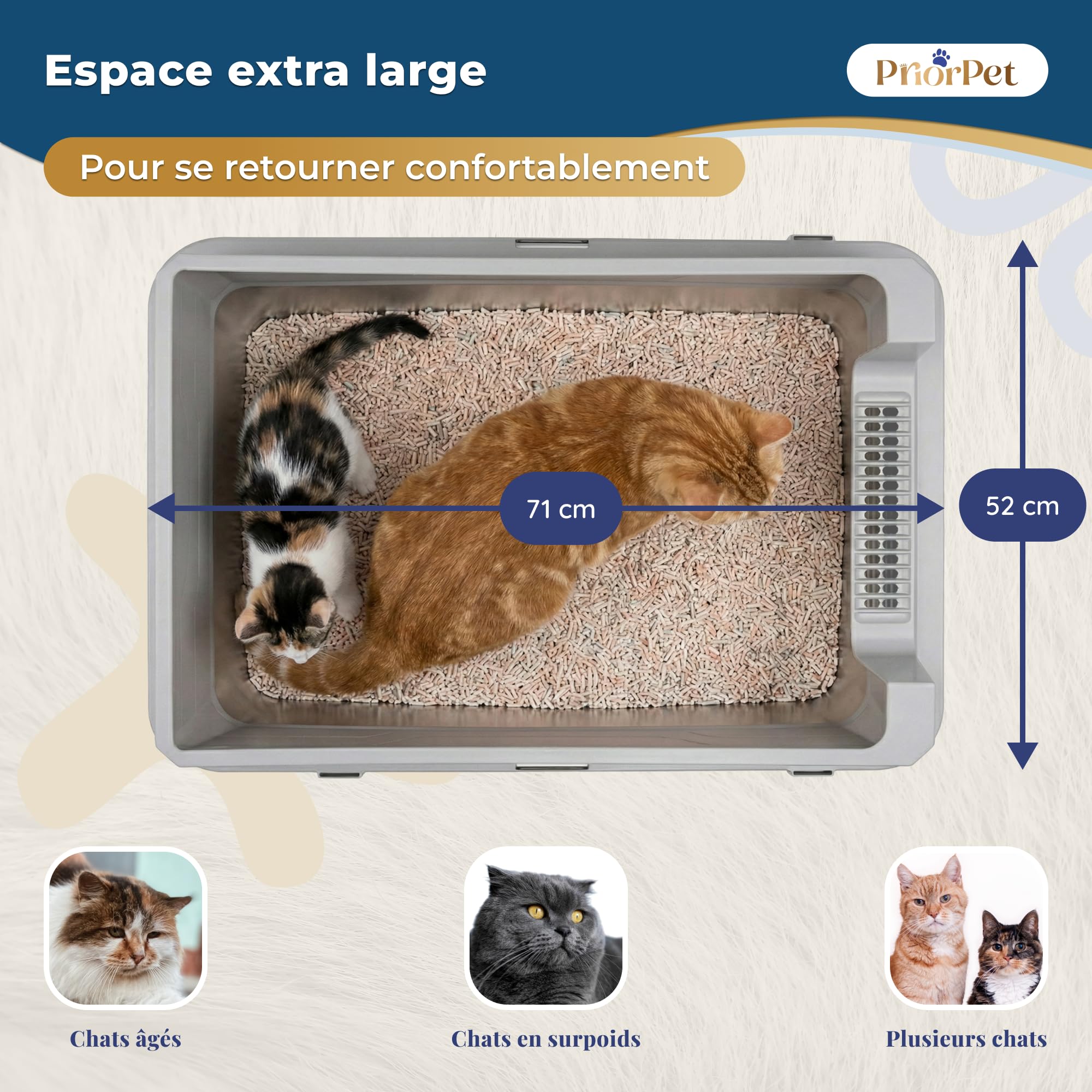 Bac litiere pour Chat INOX XXL Grand – Bac à litière pour Grands Chats & 2 Chats – Litiere Chat XXL Maine Coon – Grande litiere, Bord Haut, Anti-Fuite, Anti-Odeur – avec Pelle – 71×52×30 cm