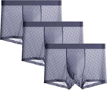 JEKE-DG Mens Ice Silk Mesh Boxer Briefs Breathable Cool Underwear Low Rise Stretch Boxers With Bulge Pouch