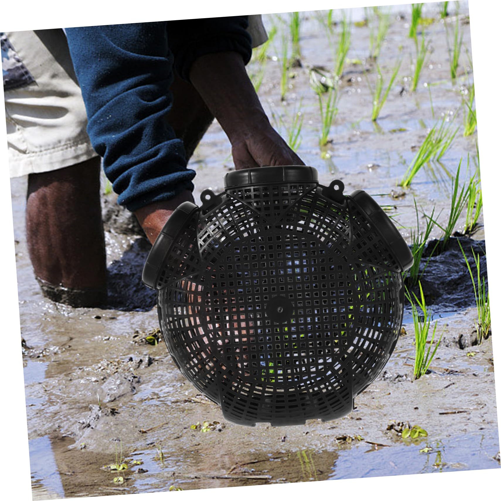 Abaodam EEL Shrimp Catching Basket Fish Trap for Eels Live Fish Trap Lobster Catcher Easy to Operate