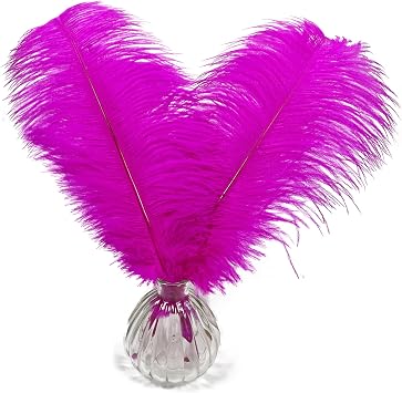 10 pcs Fuchisa Ostrich Feathers Centerpiece 12-14 inch for Wedding Home Party Decoration, DIY Craft-Fuchisa