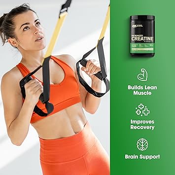 Optimum Nutrition Micronized Creatine Monohydrate Powder, Unflavored, 120 Servings, 600 Grams (Packaging May Vary) (Pack of 2)