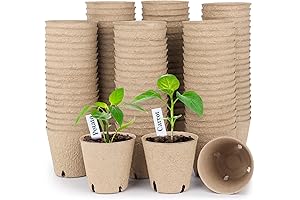 Homenote Peat Pots: Sustainable Solution for Plant Propagation