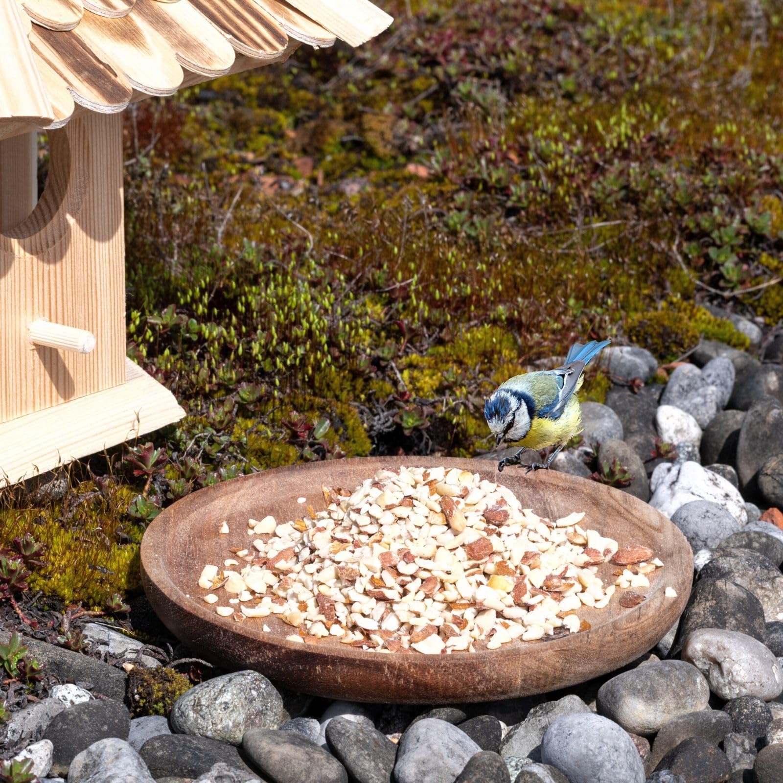 Lyra Pet® cacahuètes hachées avec peau 20 kg nourriture pour oiseaux sauvages