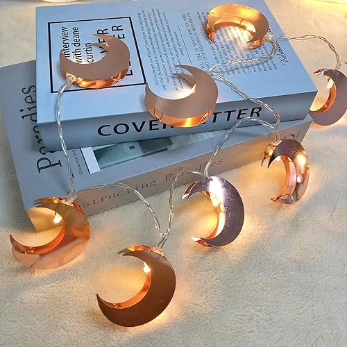 Vista 33 de Guirnalda de luces LED de plumas de oro rosa, farol de hojas de metal, funciona con pilas, luces de hadas para dormitorio, decoraciones de boda