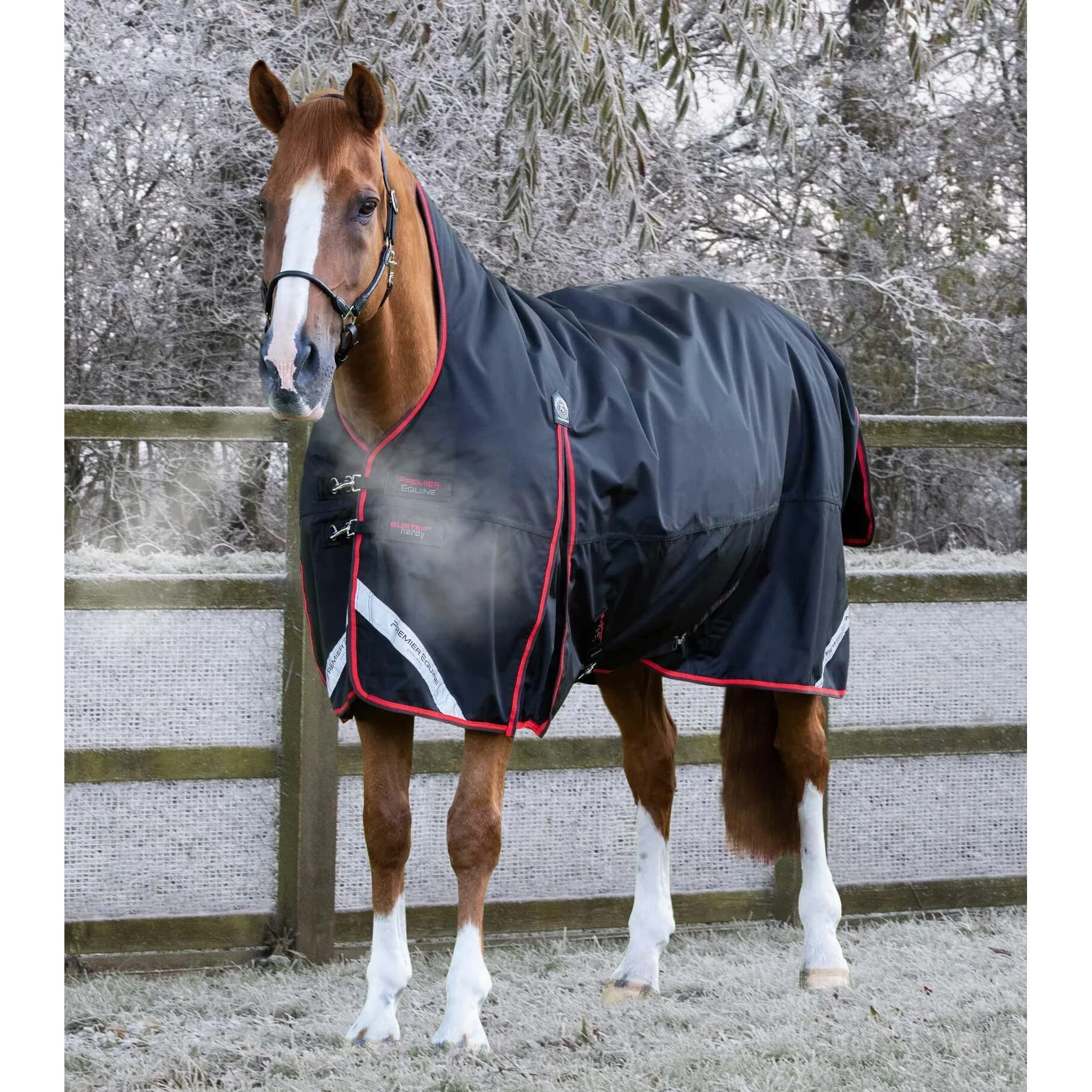 Coperta impermeabile per cavalli Premier Equine Buster Hardy 400 g