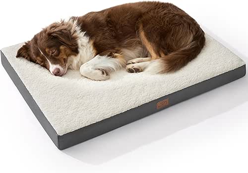 Bedsure Dog Beds Large Sized Dog - Comfy Flat Pet