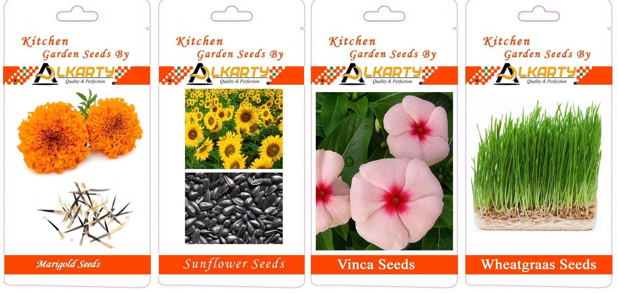 Marigold, Sunflower, Vinca, Wheatgrass Summer Flower Seeds Pack of 20 Each-image-39
