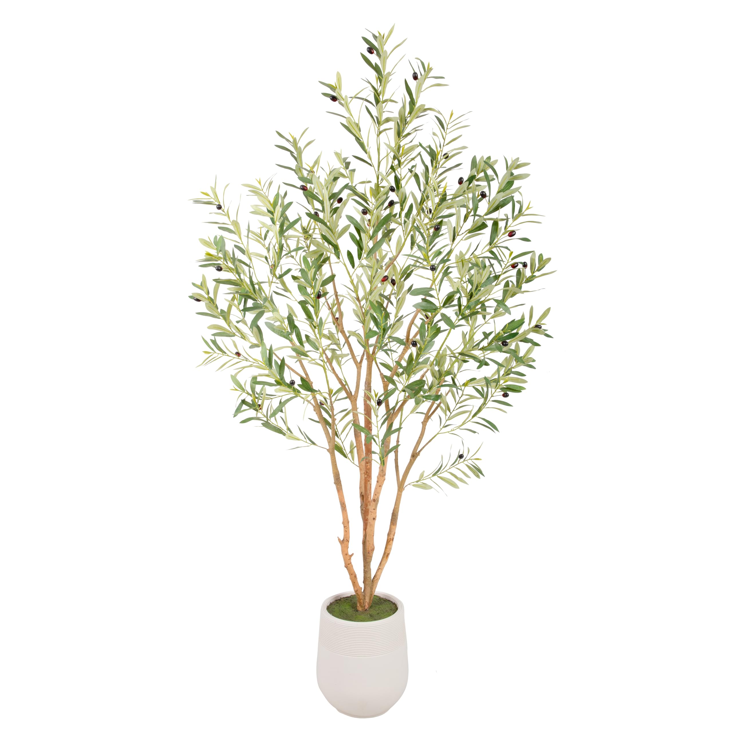 Bellacat 6ft Super Fuller Faux Olive Tree with White Decorative Planter & Multiple Real Wood Trunks, 72in Olive Trees Artificial Indoor with Realistic Fruit, Fake Olive Tree for Indoor & Outdoor Décor
