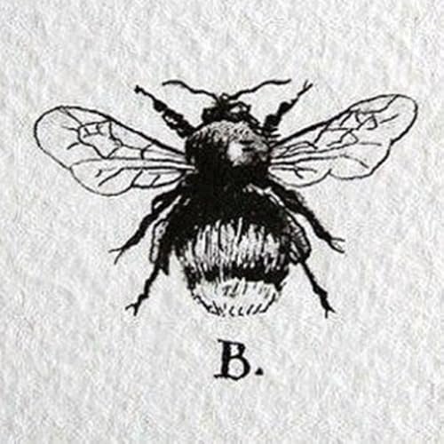 KeeperoftheB - //medicalbooks.filipinodoctors.org