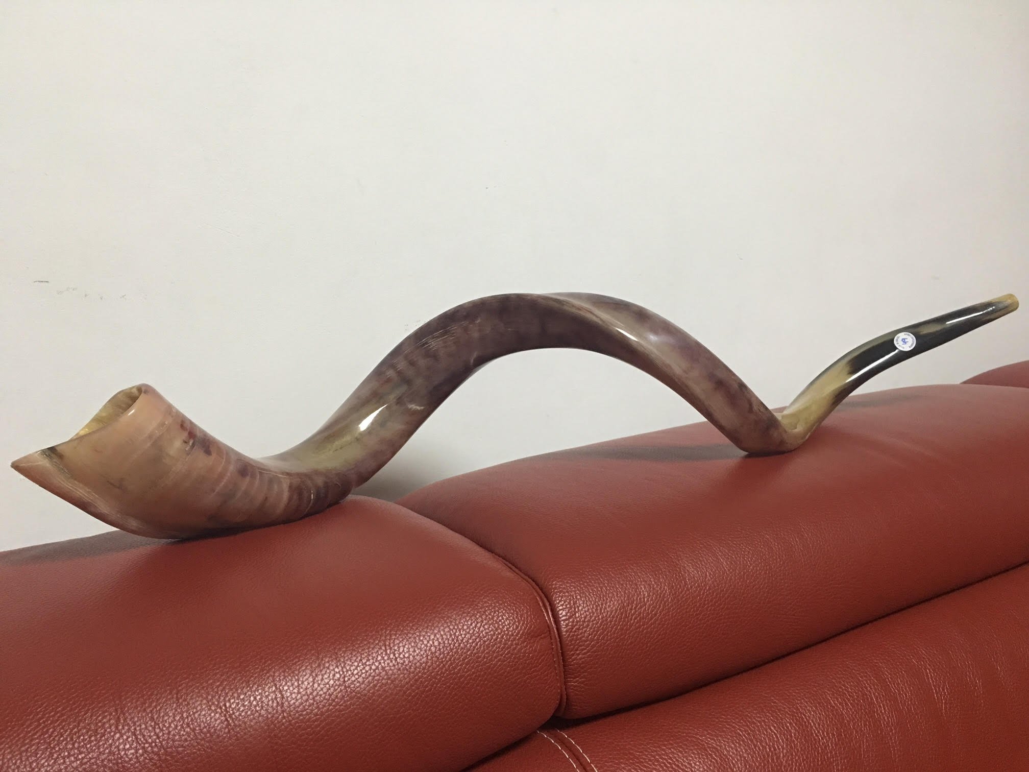 Kudu Yemenite Schofar Horn (voller poliert ca. 88,9 cm – 91,4 cm Judaica Israel