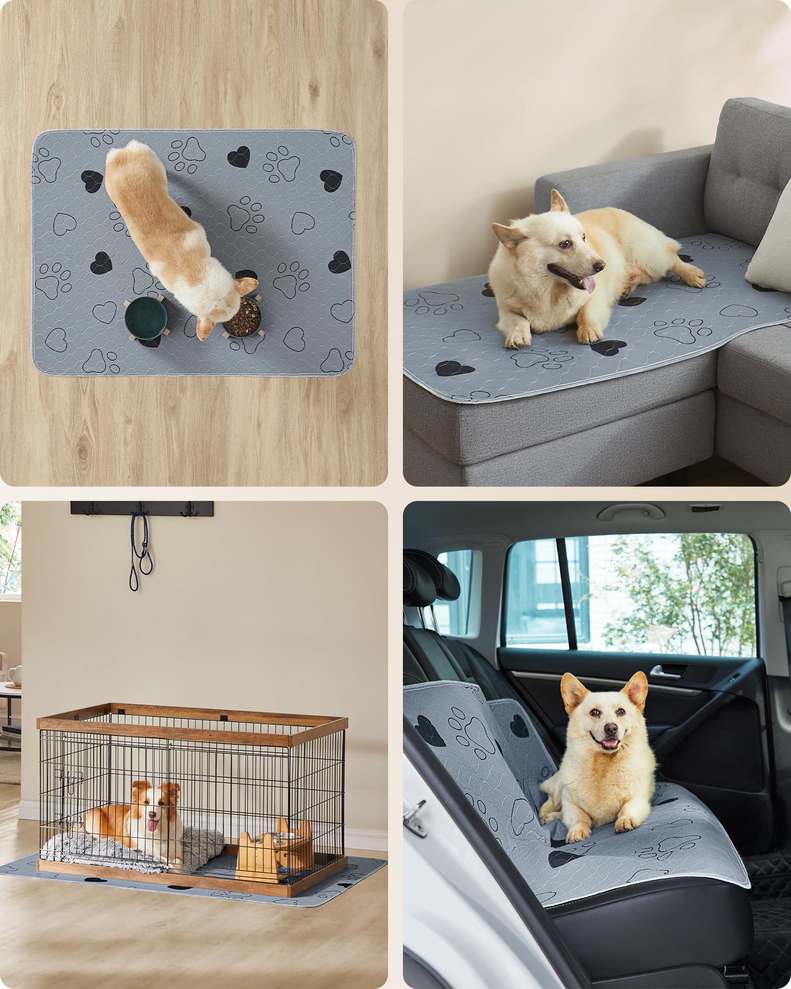 Feandrea Alfombras Lavables para Perros, Alfombras Absorbentes Reutilizables, 122 x 91 cm, Juego de 2, XL, Impermeables, Antideslizantes, Alta Absorbencia, para Gatos, Conejos, Gris PTD036G01