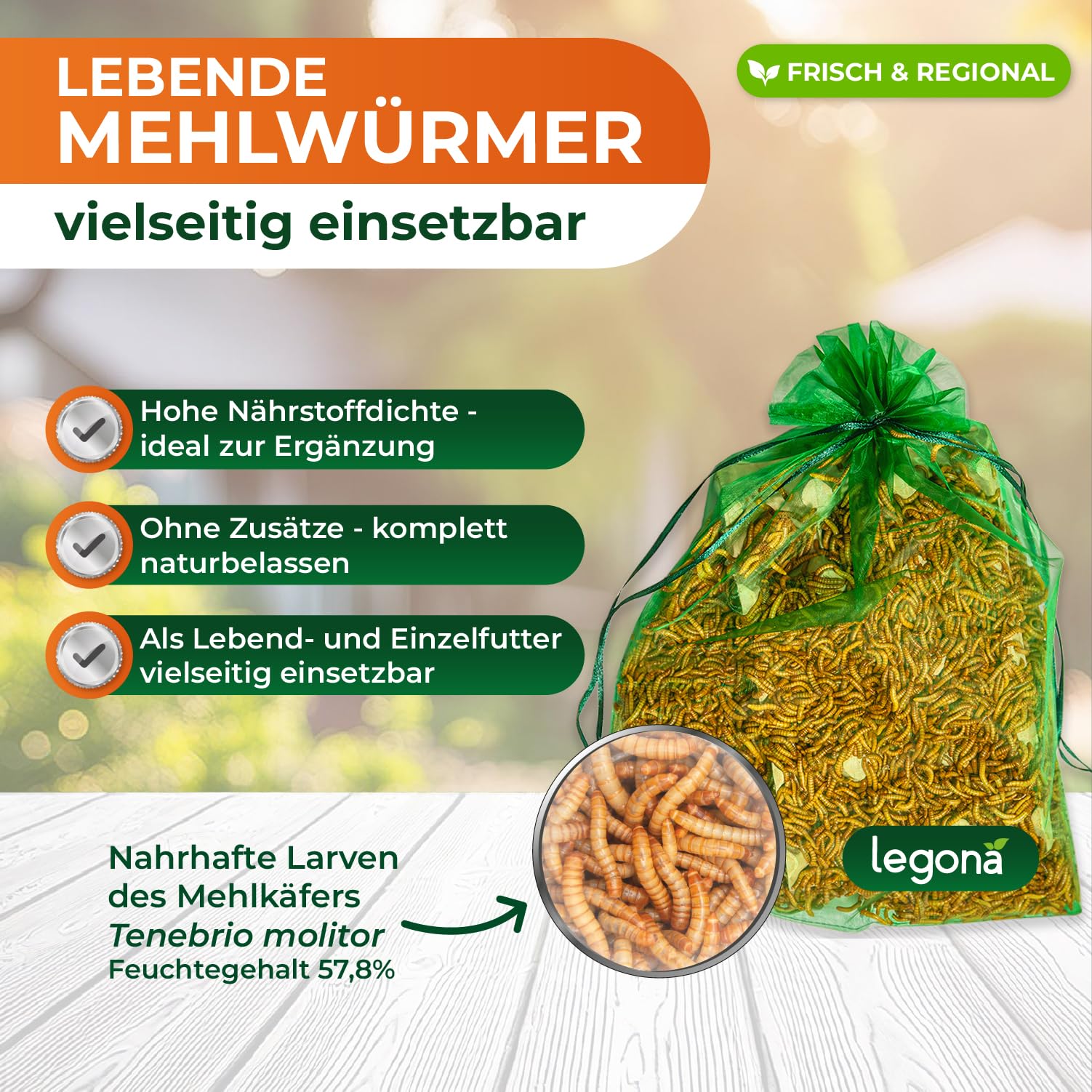 Legona Mehlwürmer lebend 1 kg - Futterinsekten für Terrariumtiere und Hühner - Tenebrio Molitor Larven - In Thermobox verpackt, kühl lagerbar