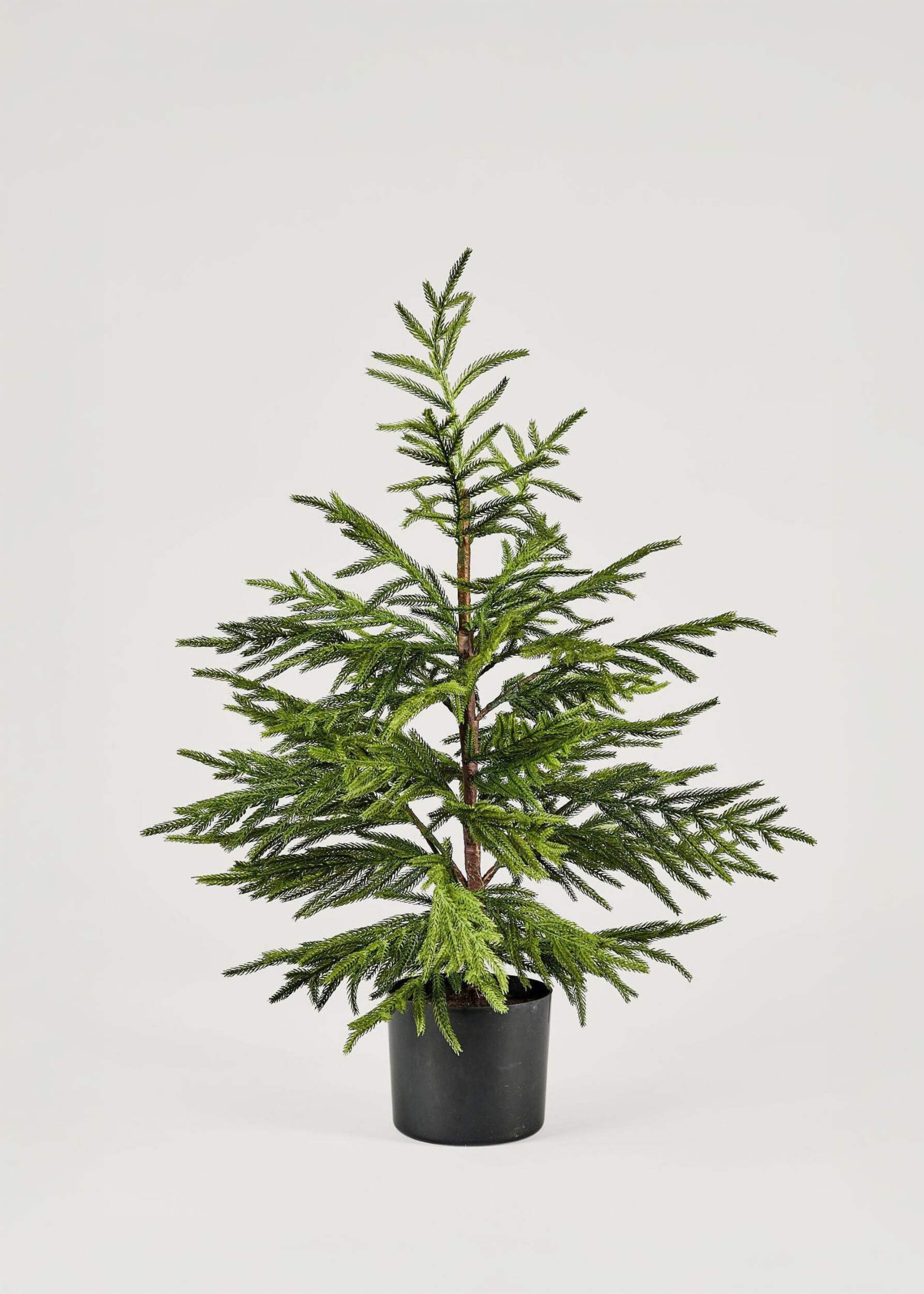 Afloral Artificial Norfolk Pine Tree - 36"