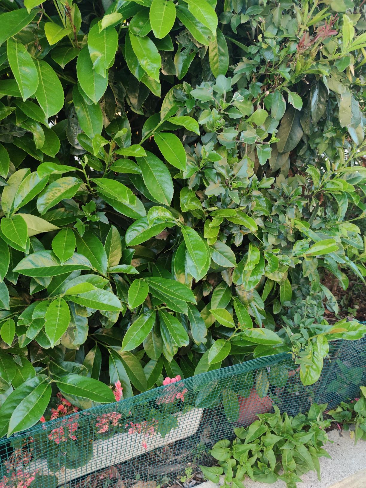 Immagine del cliente