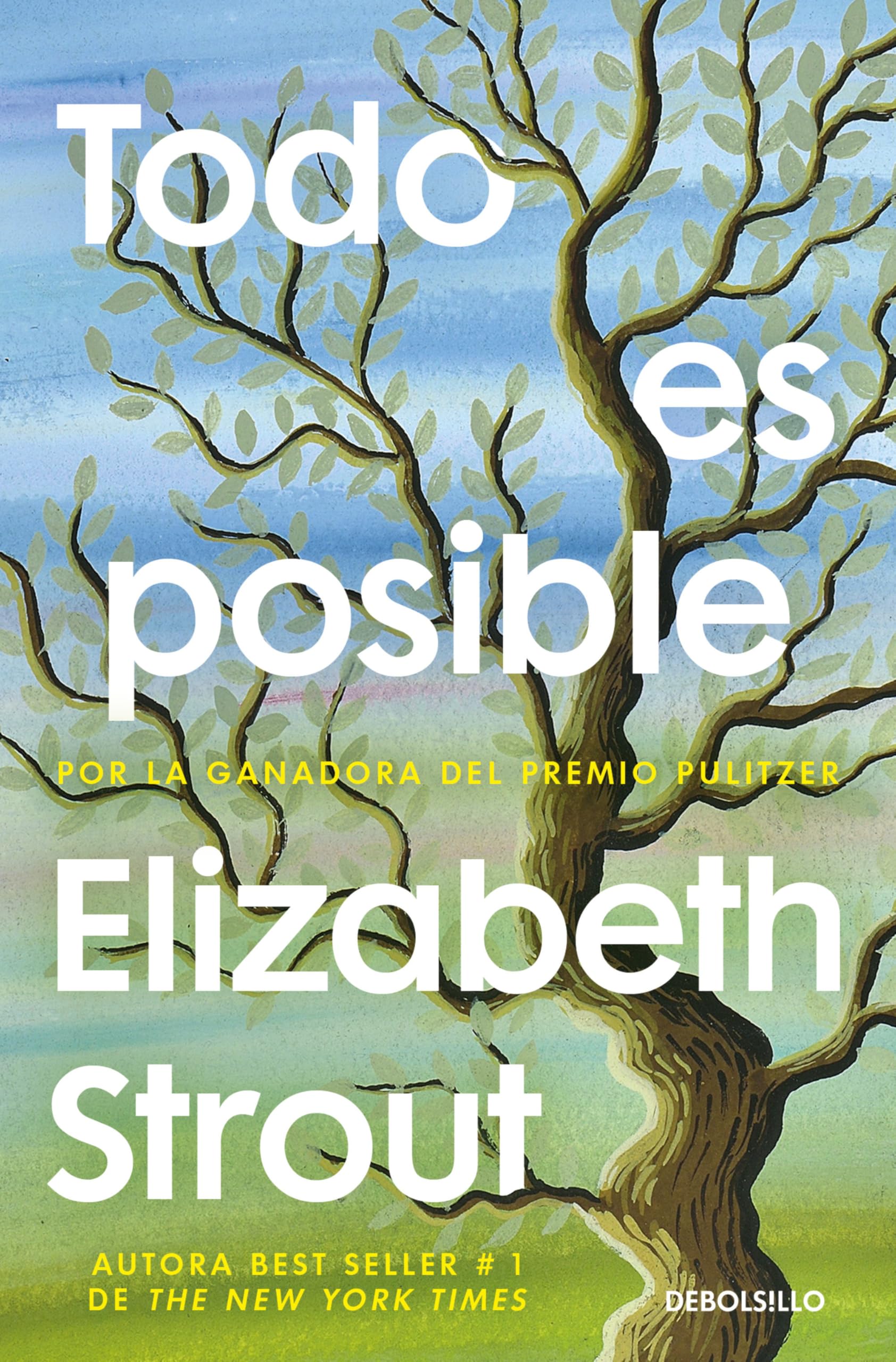 Todo Es Posible / Anything Is Possible (Best Seller)