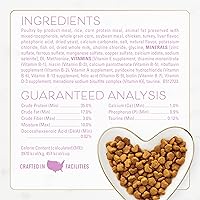 Vista 5 de Purina Fancy Feast Kitten con sabroso pollo y pavo - Alimento seco para gatitos, bolsa de 7 libras