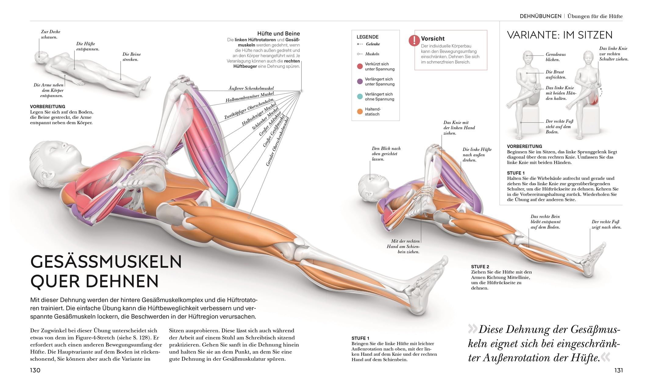 Stretching - Die Anatomie verstehen: Mit Dehnübungen für mehr Beweglichkeit. Grafiken geben Einblicke in die Muskel- und Gelenkarbeit