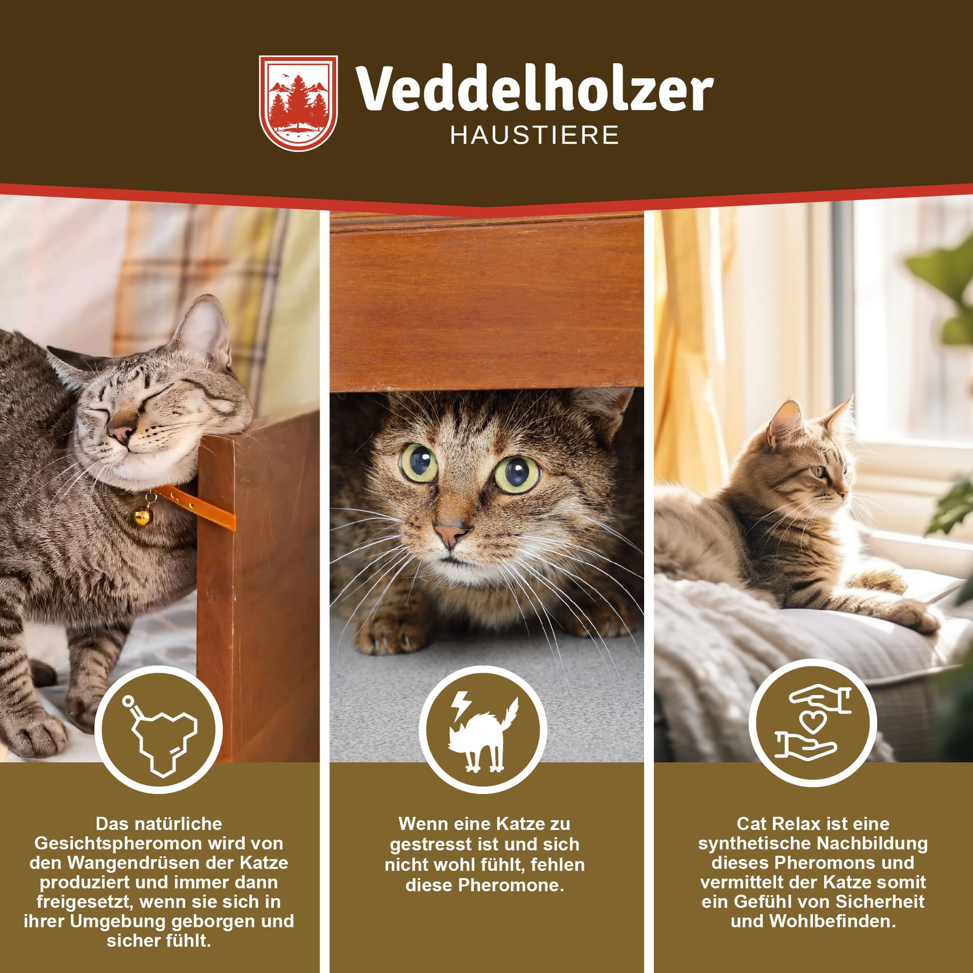 Veddelholzer Relax Cat Pheromone Diffusore di Feromoni per Gatti Set composto da Vaporizzatore + Flacone da 45ml Calmante per Gatti Mezzi per Rilassamento & Anti Stress per Gatti Prevenire