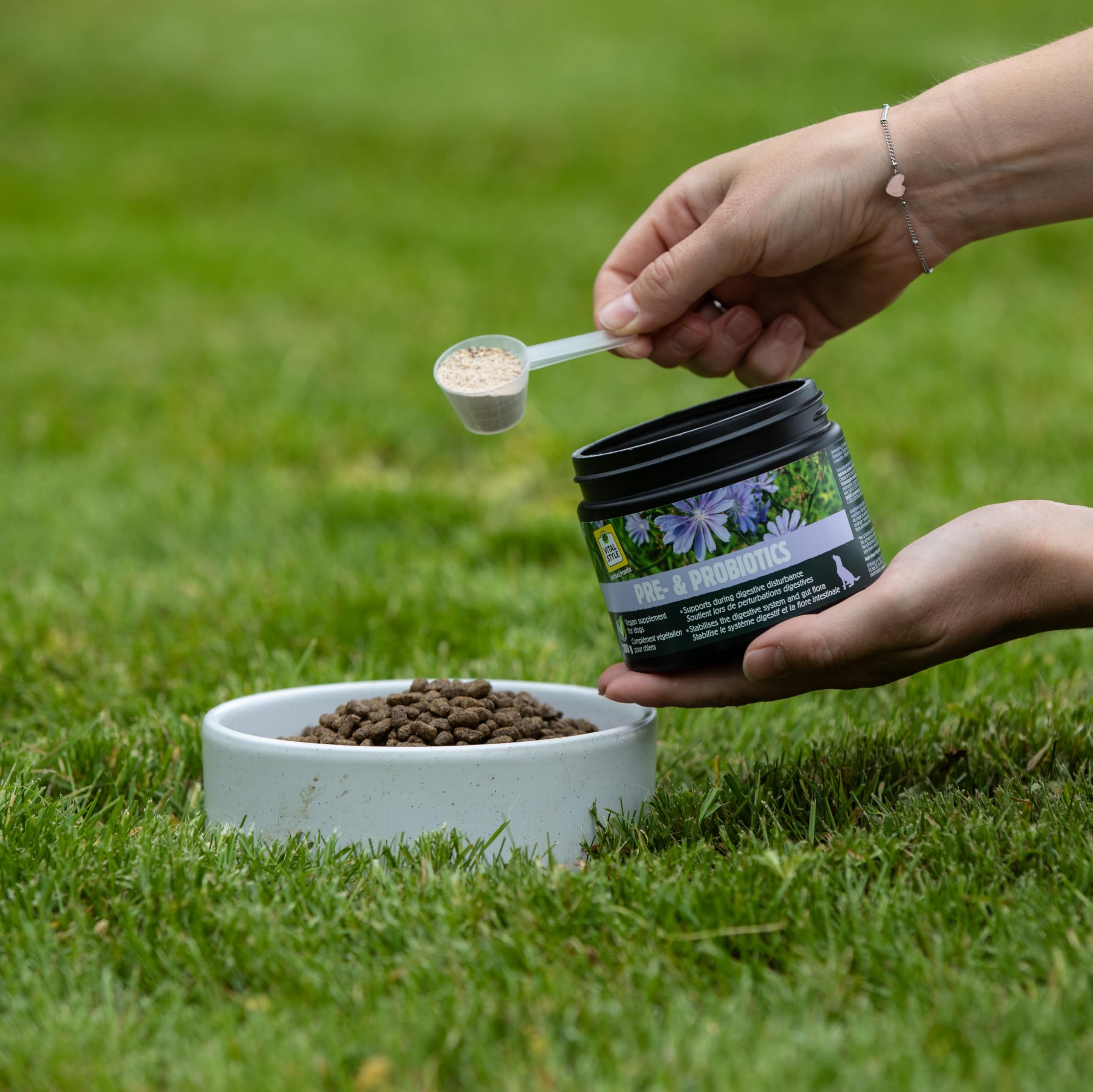 Pre- i probiotyki – prebiotyki i probiotyki dla psa – regeneracja jelit – wspomaga zdrową florę jelit i trawienie – w przypadku biegunki – 100% naturalny – 200 g proszku
