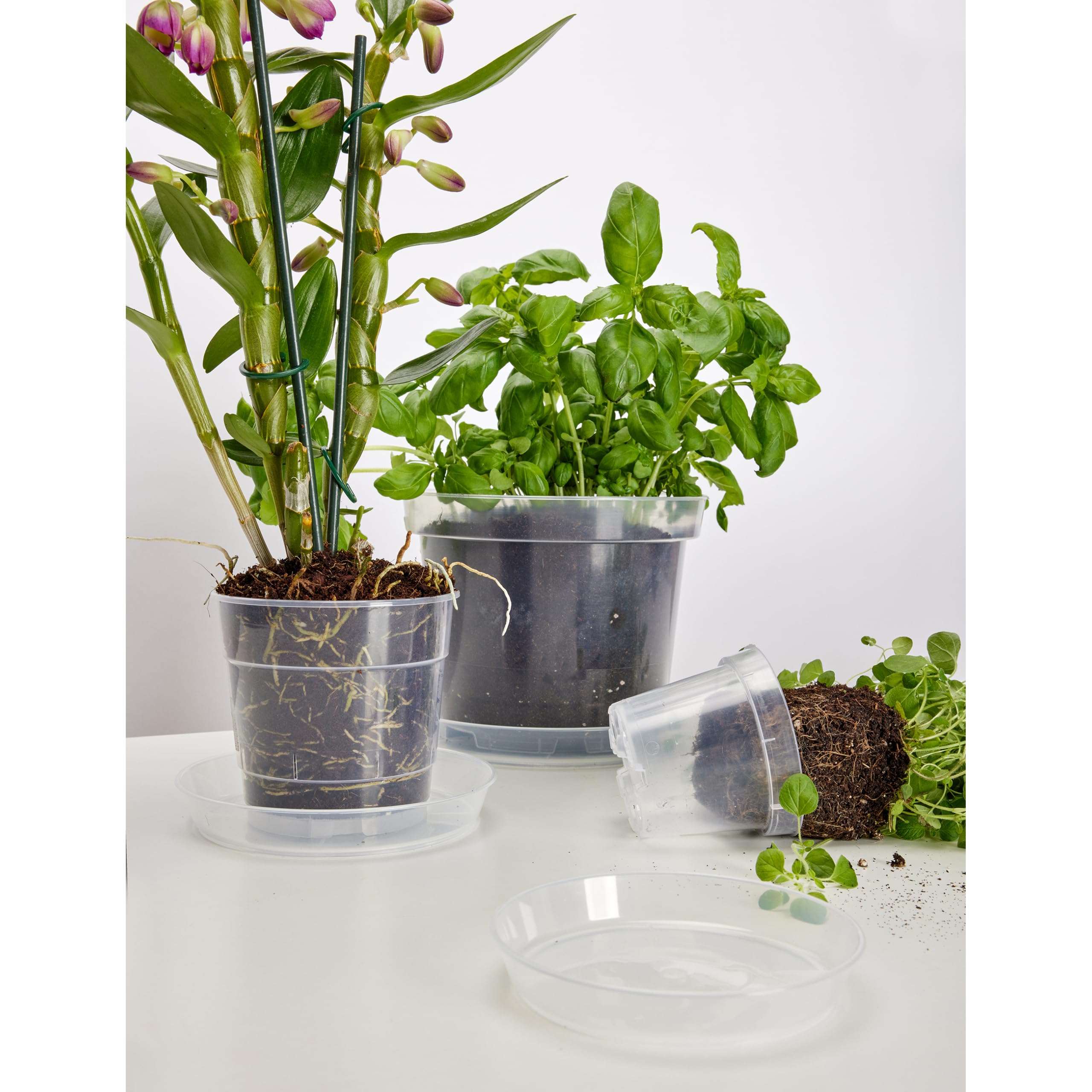 Garronda GD-0024 Bloempot, orchideeënpotten, transparant, ronde bloempotten voor kamerplanten, kunststof in verschillende maten, 10 stuks, transparant, diameter 21 cm, hoogte 16 cm