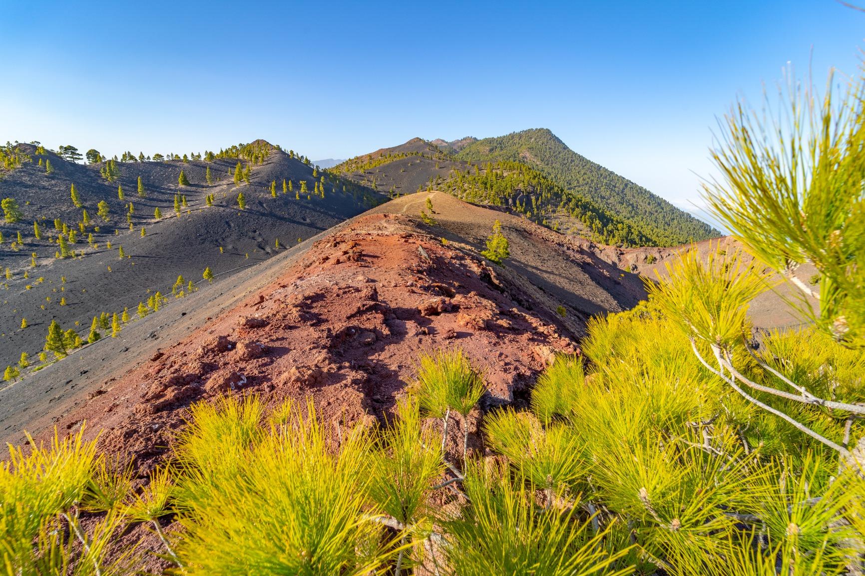 Super Preis-Leistungsverhältnis