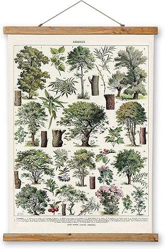 ABoby Póster colgante vintage, marco para colgar pósteres de árboles de Navidad, estilo retro, impresiones artísticas de pared botánicas, impreso en