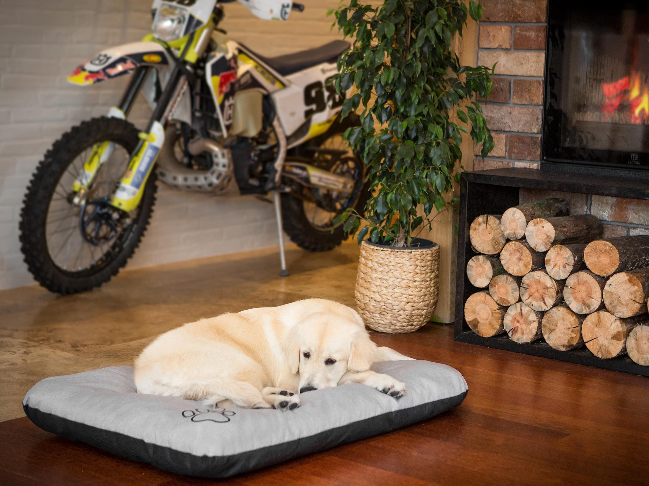 Cama para perros, sofá para perros, cojín para perros, sofá, colchón, cama, cama para animales, suave, cojín R2, 100 x 70 cm, cenizas ecológicas