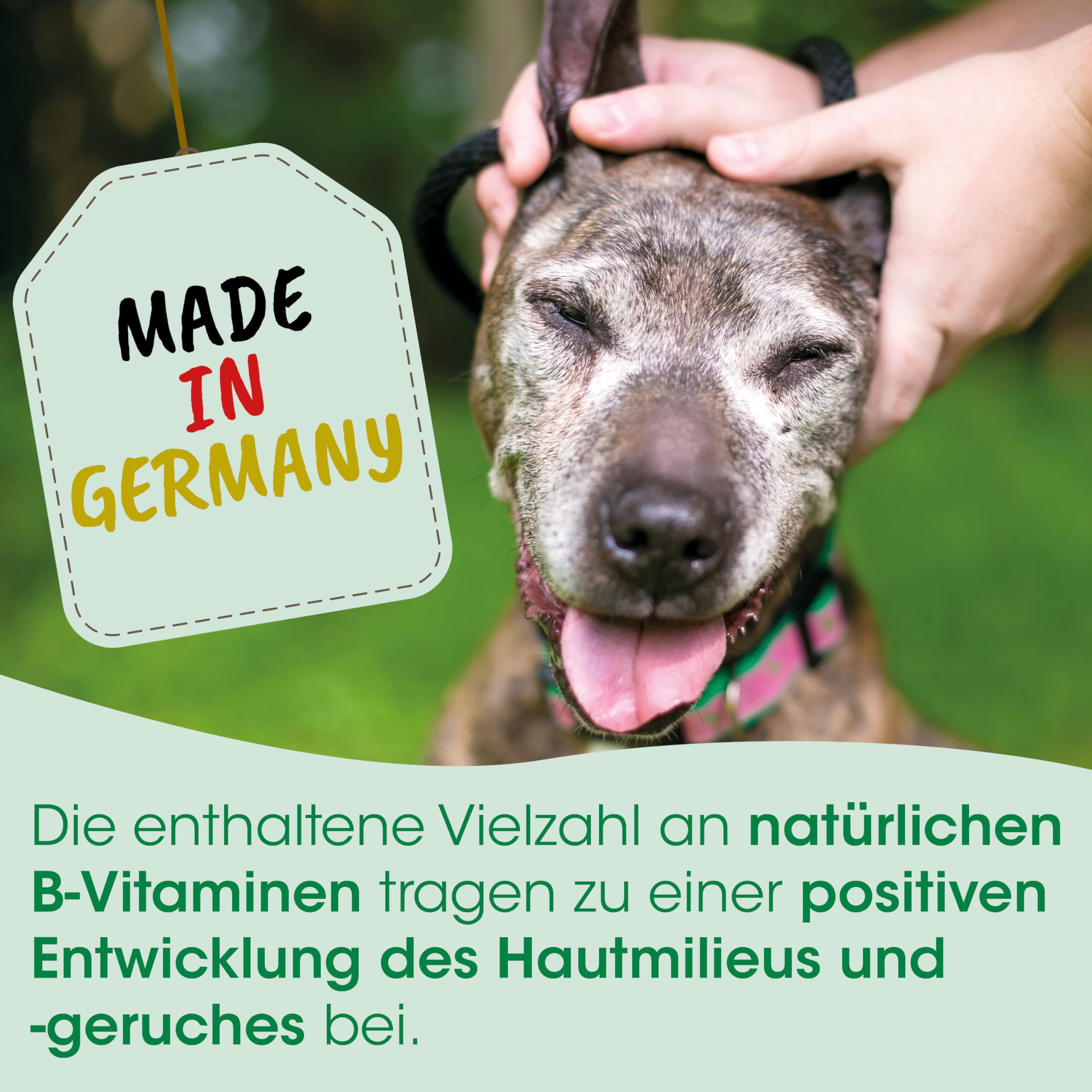 cdVet Naturprodukte InsektoVet herbal 1,8 kg - Hund - unterstützen ernährungsbedingt den Hautstoffwechsel - positive Entwicklung des Hautmilieus -