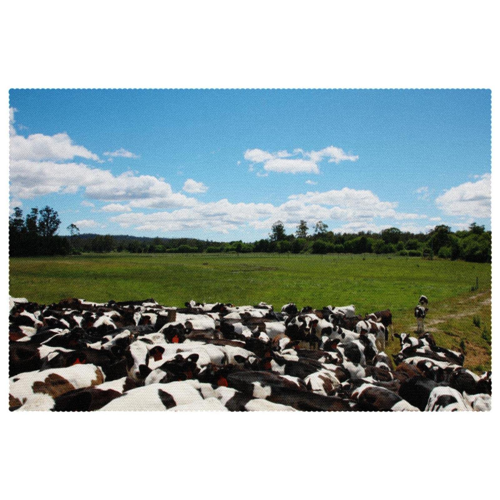 Set de table vache 30,5 x 45,7 cm lavable résistant chaleur pour salle à manger lot de 6