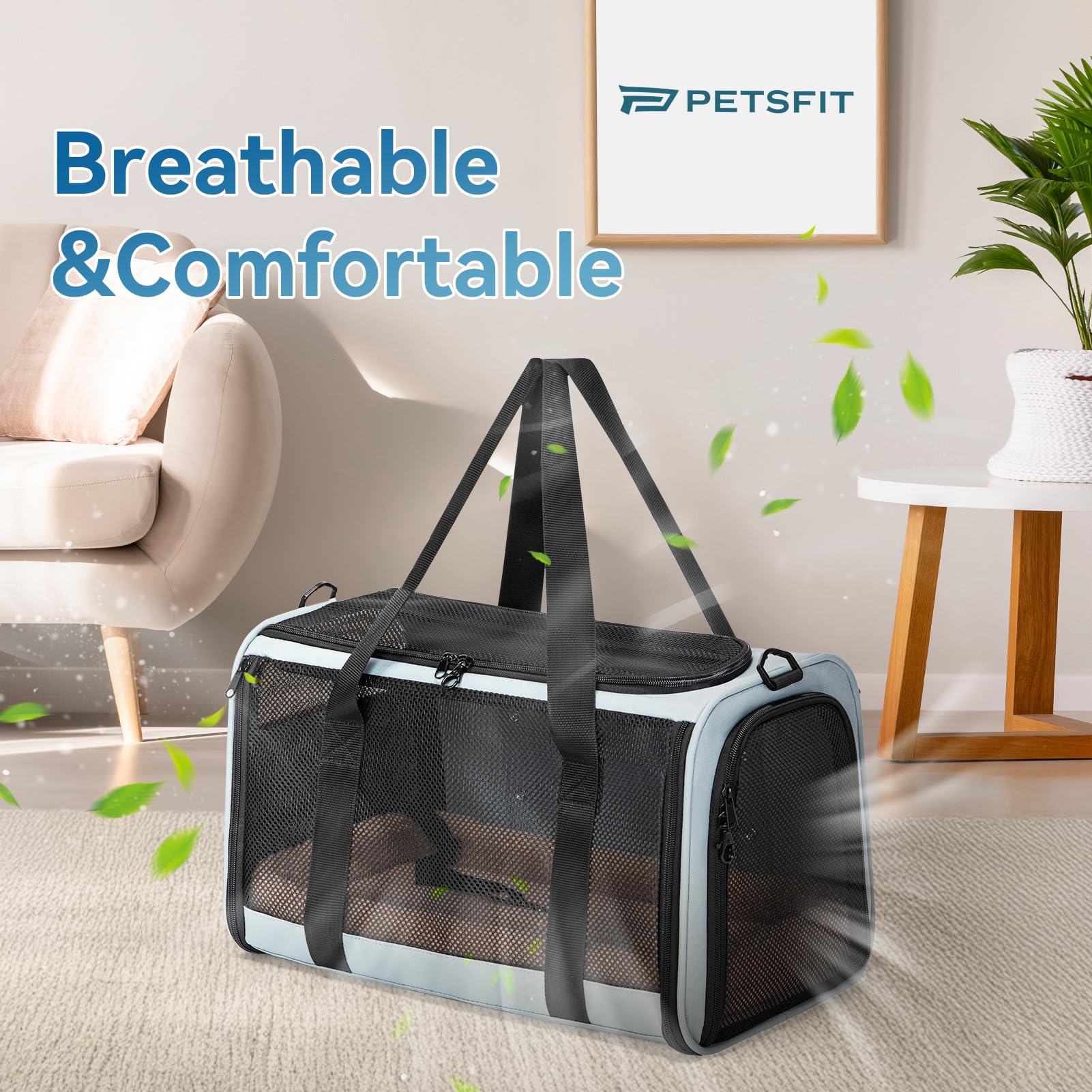 Petsfit Transportín Perro Gato Plegable, Transportin Gato/Transportin Perro Pequeño Mascotas, Bolsa de Transportar Mascotas para Pequeños Mascota Viajes Avion Coche o Tren