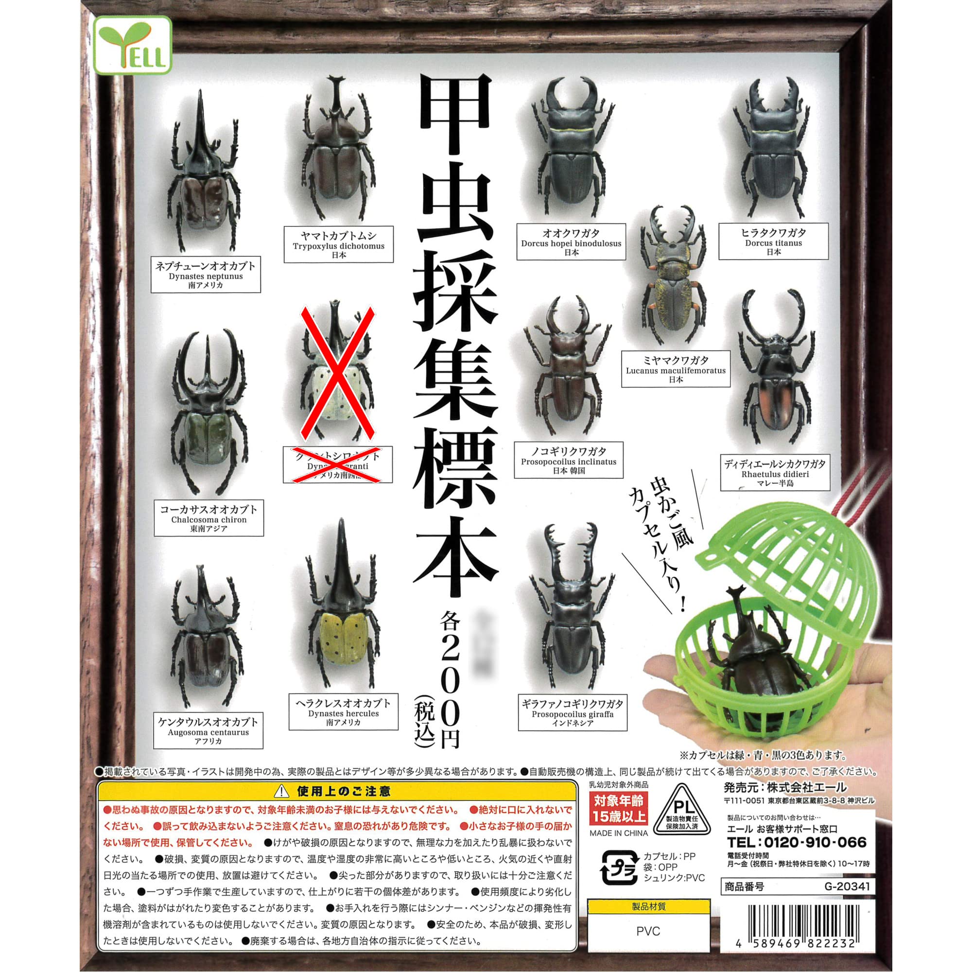 Amazon | 甲虫採集標本 より 11種 ガチャガチャ カプセルトイ
