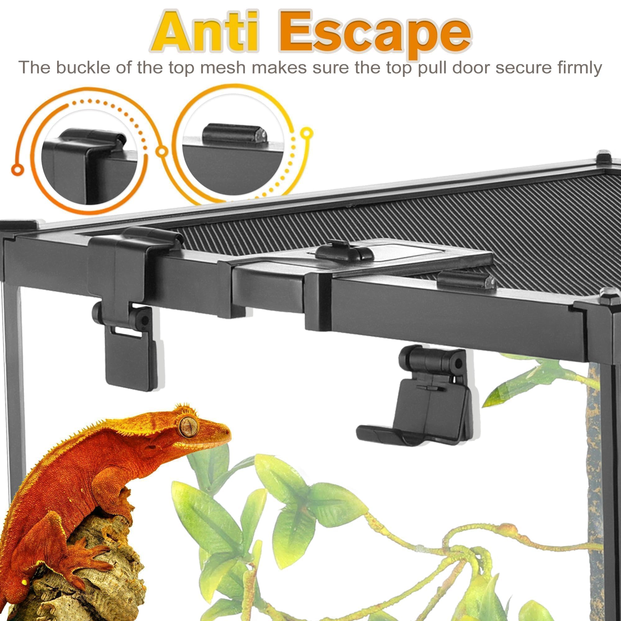 Mini terrario in vetro per rettili, 30,5 x 30,5 x 30,5 cm, a vista completa, per piccoli anfibi, gabbia per habitat in vetro, con fessura per l'alimentazione e fibbia di blocco della scatola