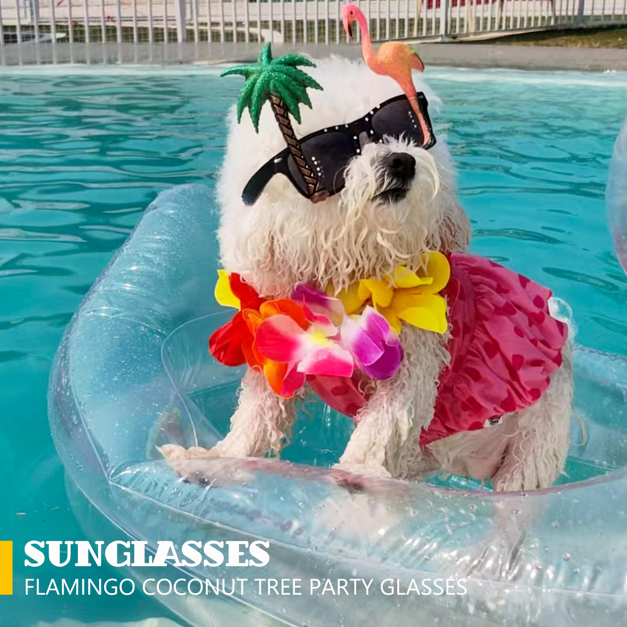 Dog Pool Float, Funny 6-in-1 Inflatable Dog Floats for Pool, Dog Raft for Small Dog, Puppy and Doggies, Clear Duck