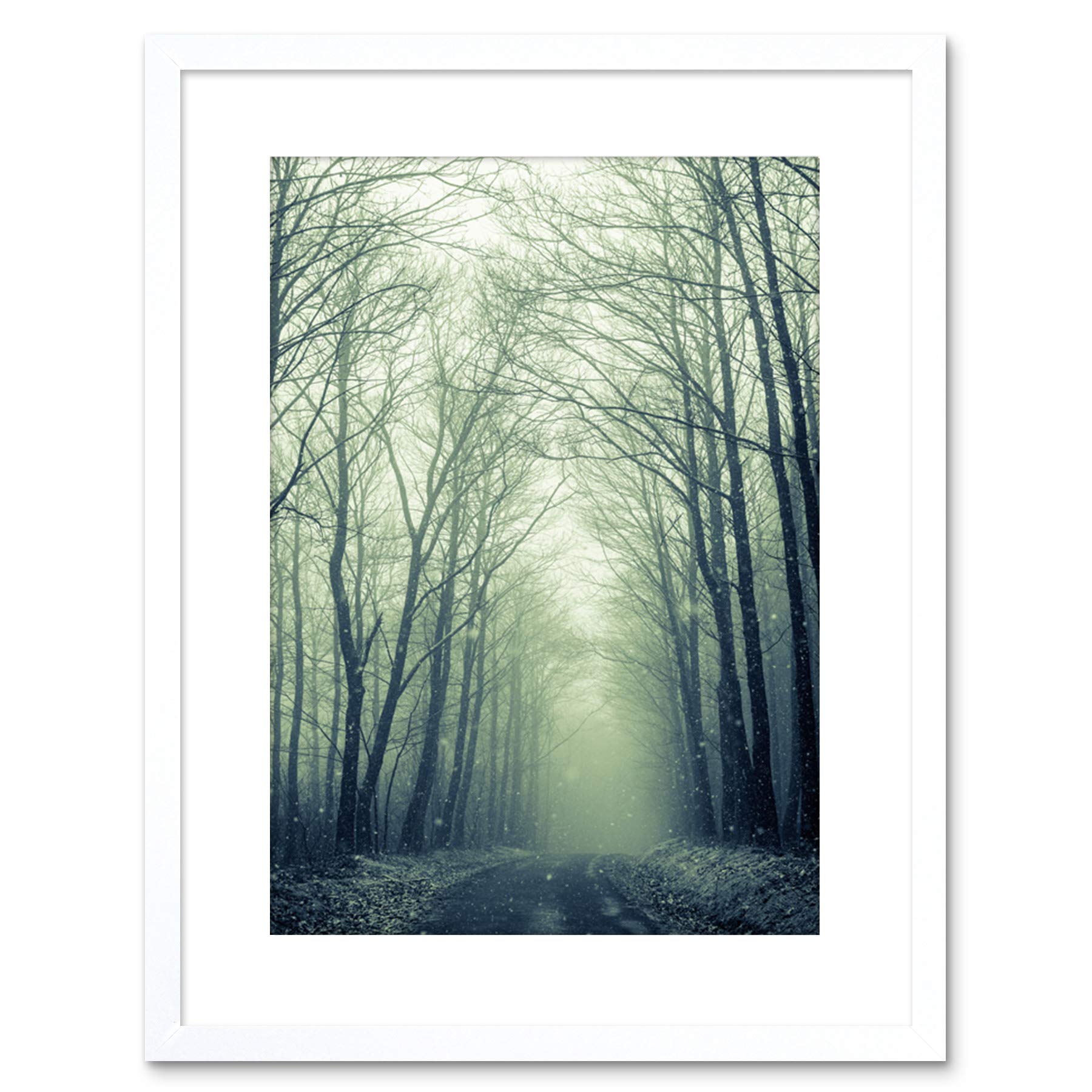 Wee Blue Coo NATURE PHOTO FOREST TREES WINTER TRACK FRAMED ART PRINT POSTER F97X11977