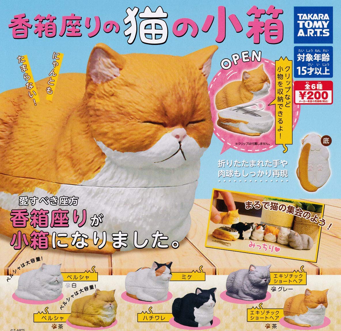 Amazon.co.jp: 香箱座りの猫の小箱 [全6種セット(フルコンプ