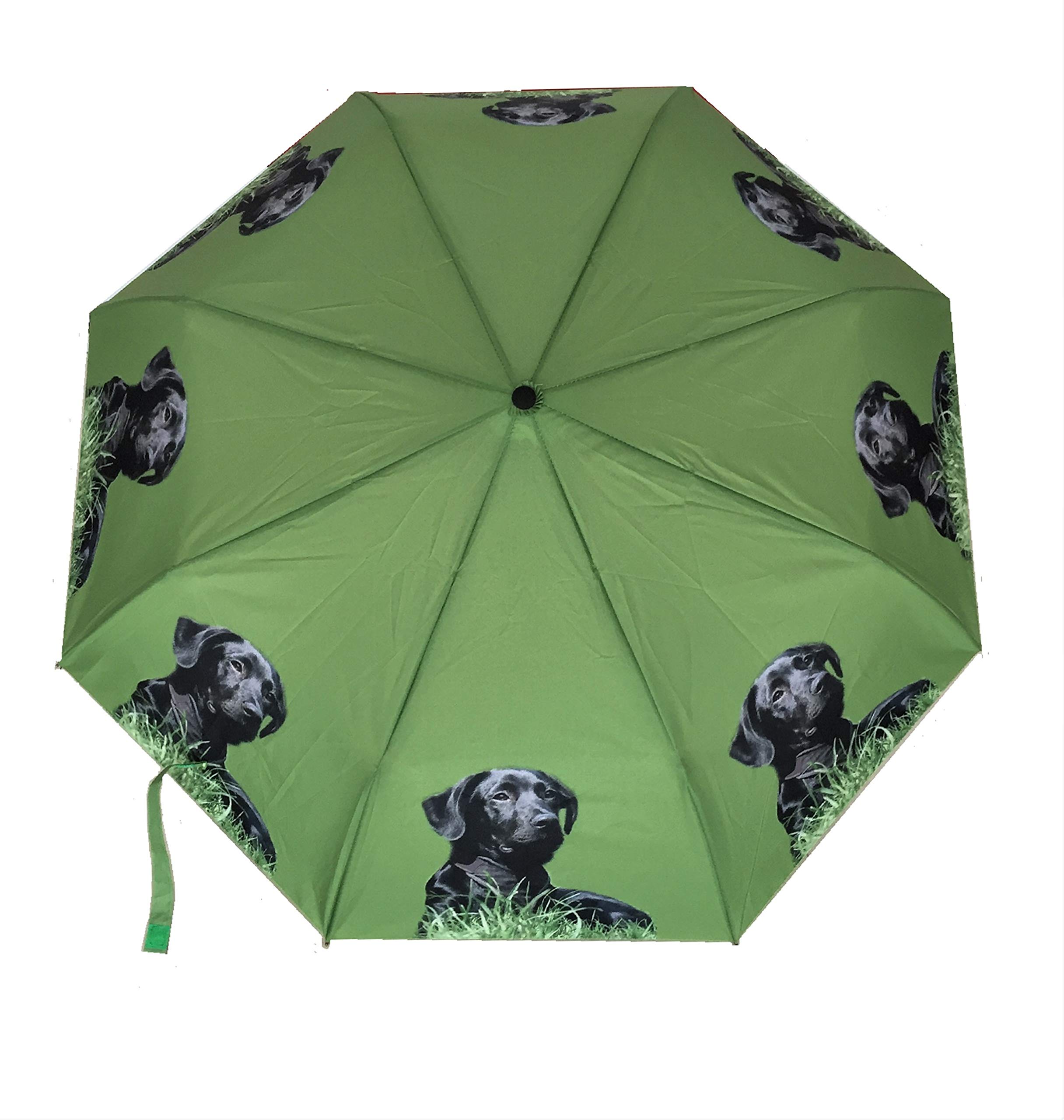 Doggy Brolly Black Labrador Retriever Dog Folding Automatic Open Umbrella