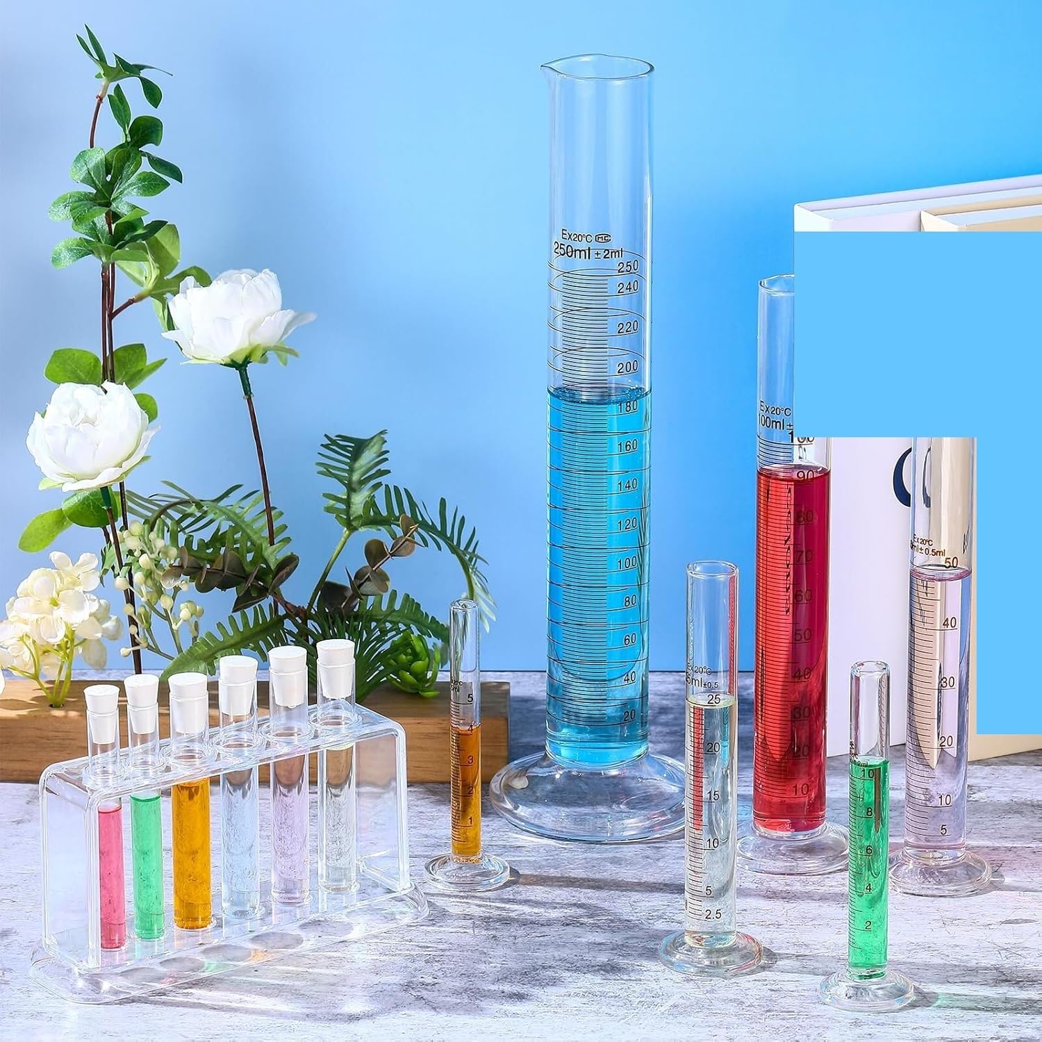 Test Tube Rack Lab Plastic Test Tube Rack Rectangular 6 Hole for Laboratory Centrifuge Racks