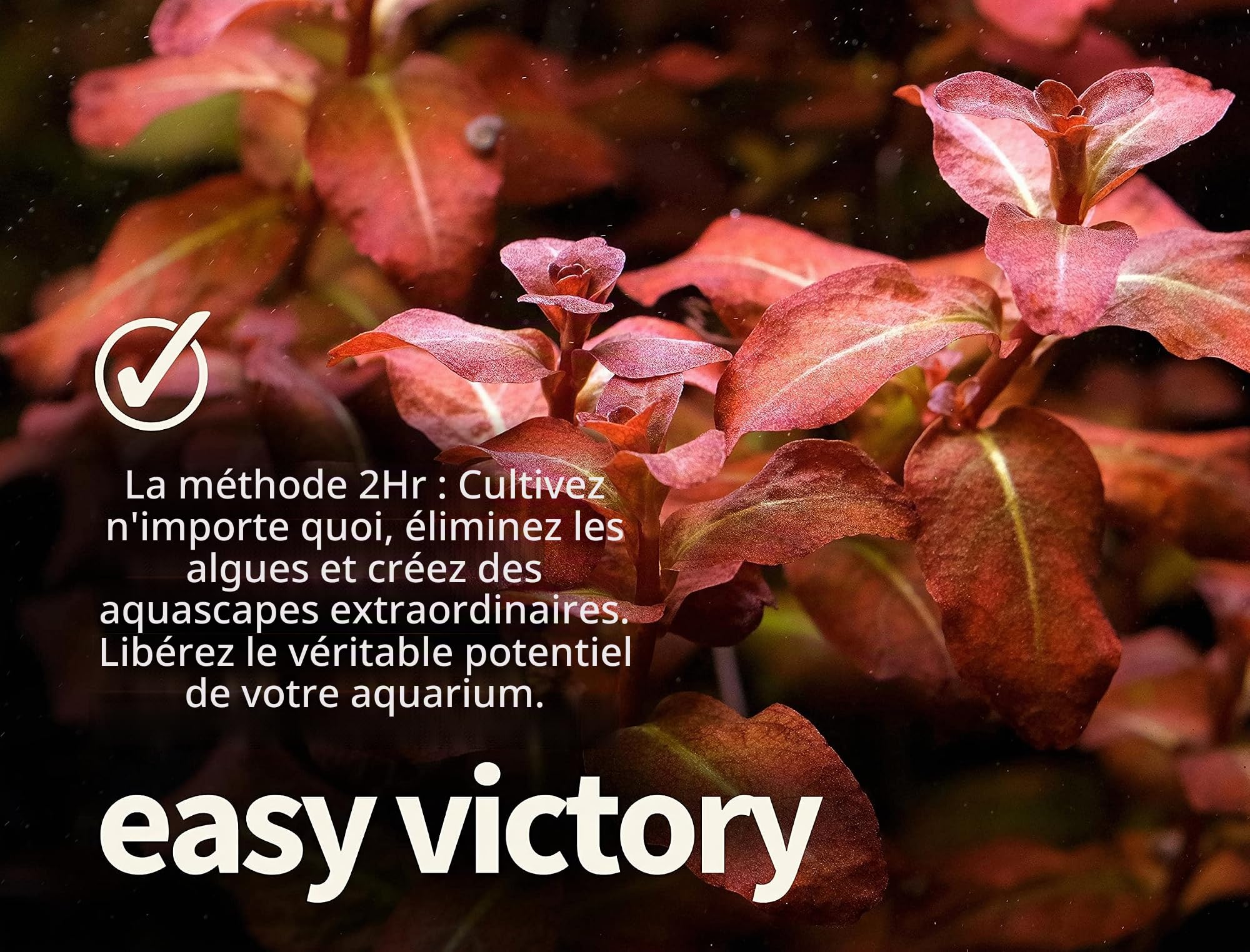 2Hr Aquarist Engrais liquide aquarium all in one APT E/Estimative Index in a bottle (1000ml)