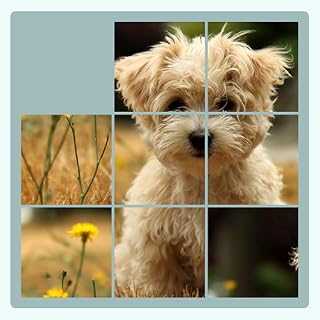 Jigsaw Puzzle Ad Free