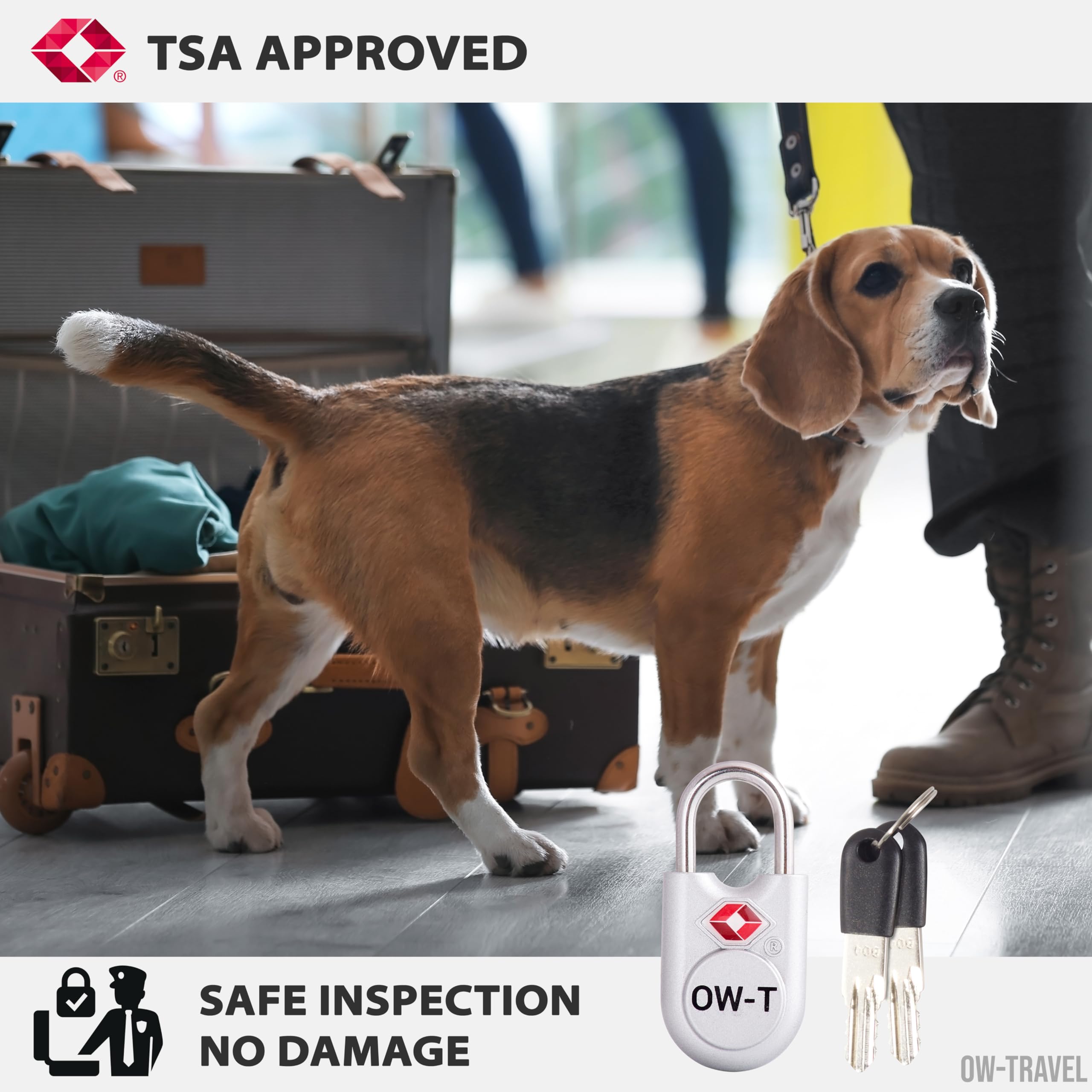 OW-Travel TSA Kłódka z Kluczykiem ​(Zestaw 2 Silver) Zamki Bagażowe na Klucz. Wytrzymałe Kłódki Bagażowe z Zamkiem na Klucz do Bagażu, Torby, Walizki, Plecaka, Szafki na Siłowni