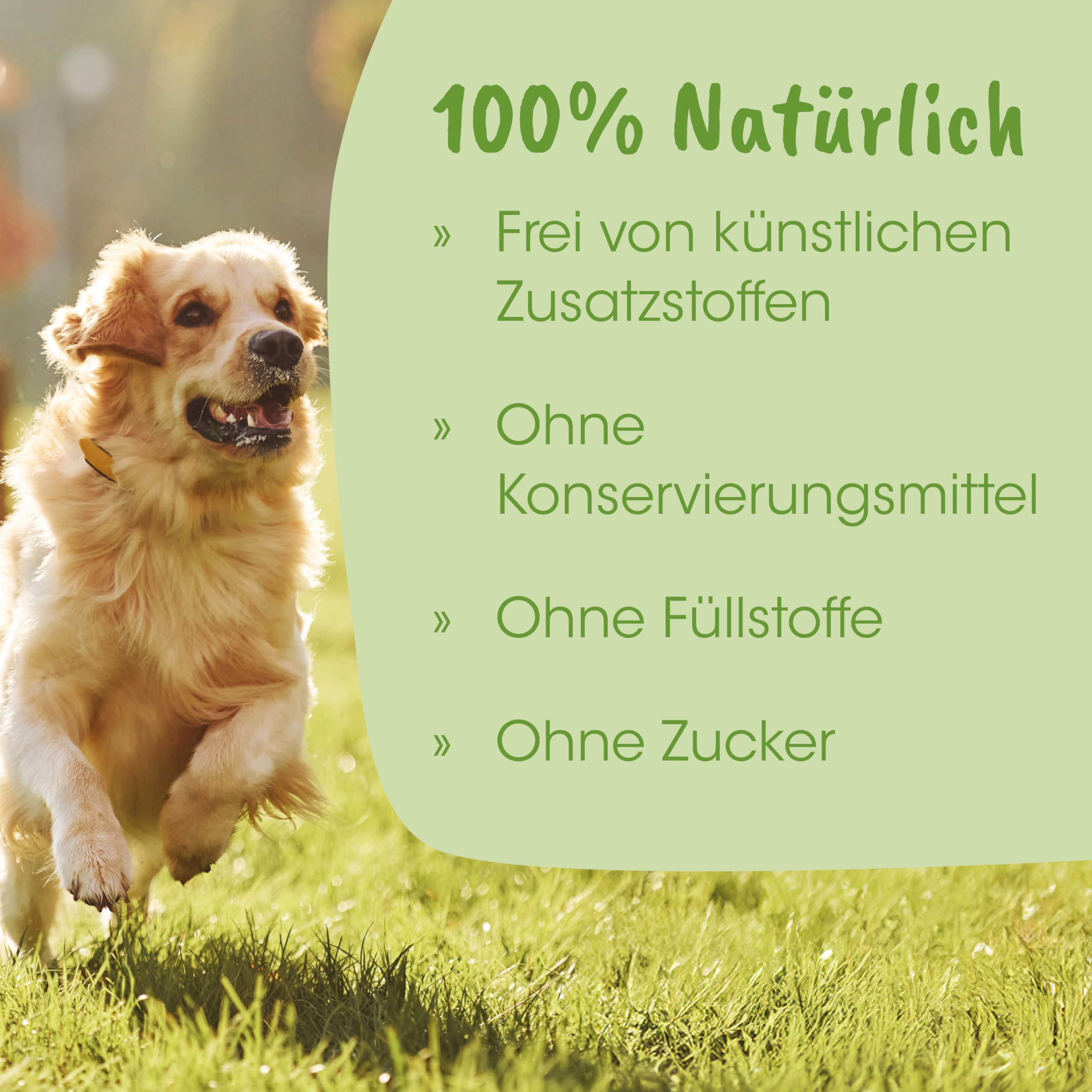 cdVet Natural Products ArthroGreen plus 330 g - apoya de manera óptima el sistema musculoesquelético y las articulaciones en fases agudas - apoyo relacionado con la nutrición - para la fuerza de los huesos y el cartílago -