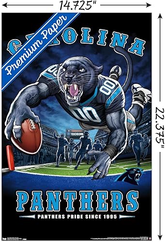 Miniatura 8 de Trends International NFL Carolina Panthers - Póster de pared de End Zone 17, 22.375 x 34 pulgadas, paquete de póster y montaje prémium