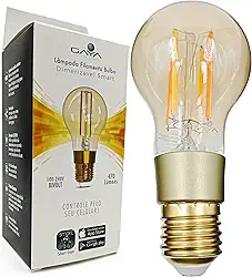 Smart Lâmpada de Filamento Bulbo Dimerizável, Compatível com Alexa, Marca Gaya.